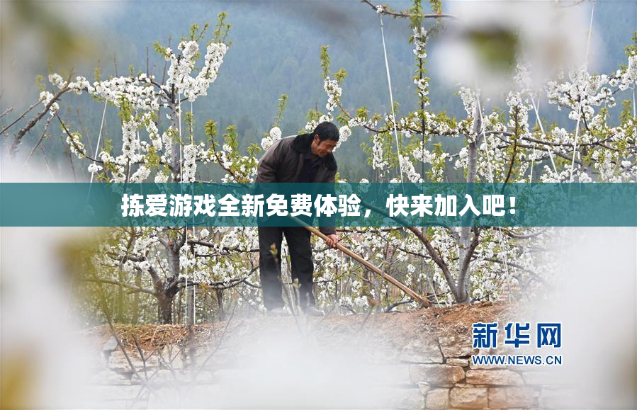 拣爱游戏全新免费体验，快来加入吧！