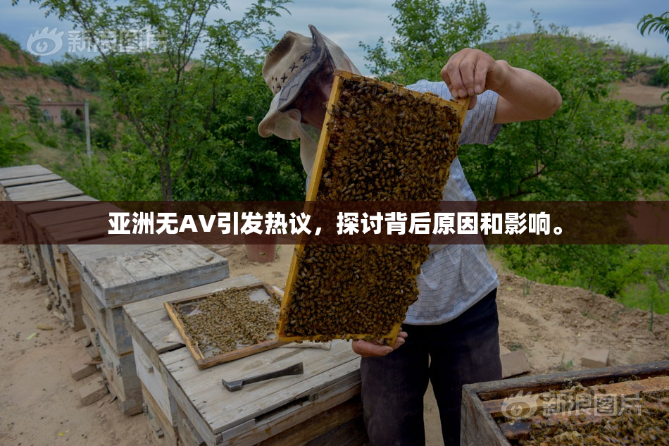 亚洲无AV引发热议，探讨背后原因和影响。