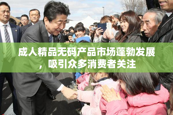 成人精品无码产品市场蓬勃发展，吸引众多消费者关注