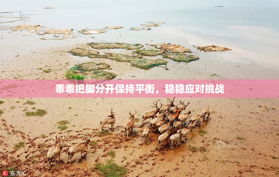 乖乖把脚分开保持平衡，稳稳应对挑战