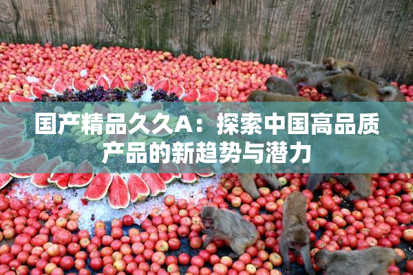 国产精品久久A：探索中国高品质产品的新趋势与潜力