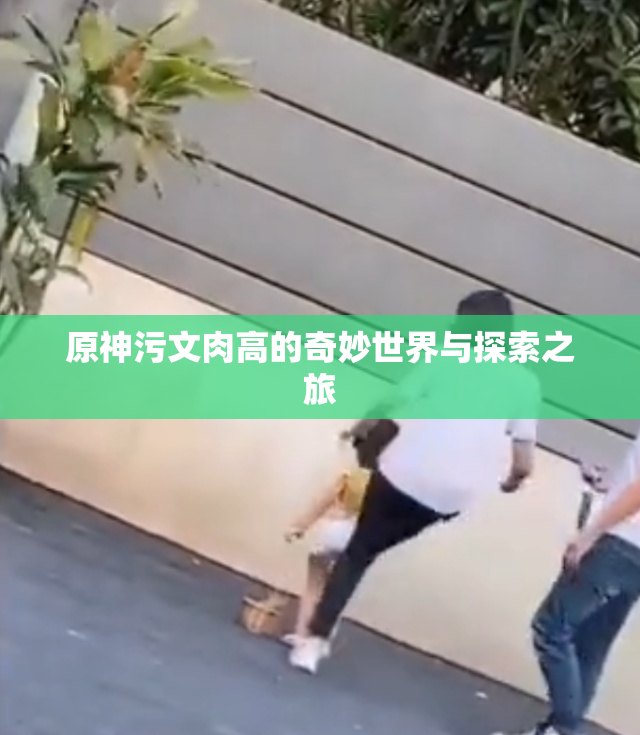 原神污文肉高的奇妙世界与探索之旅