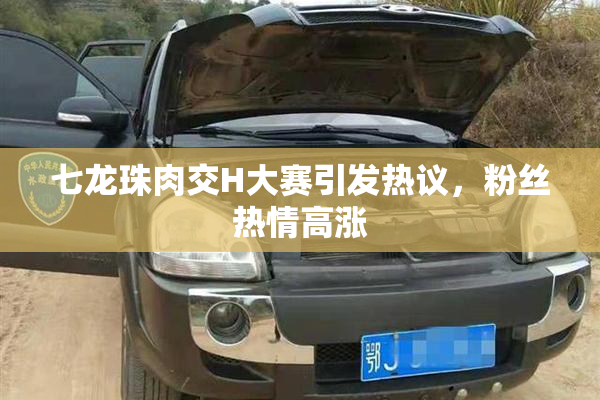 七龙珠肉交H大赛引发热议，粉丝热情高涨