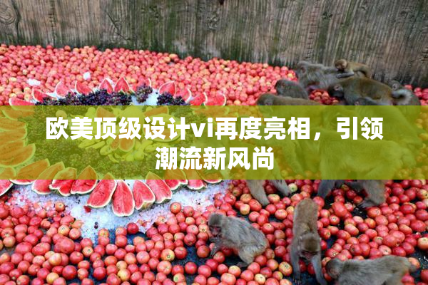 欧美顶级设计vi再度亮相，引领潮流新风尚