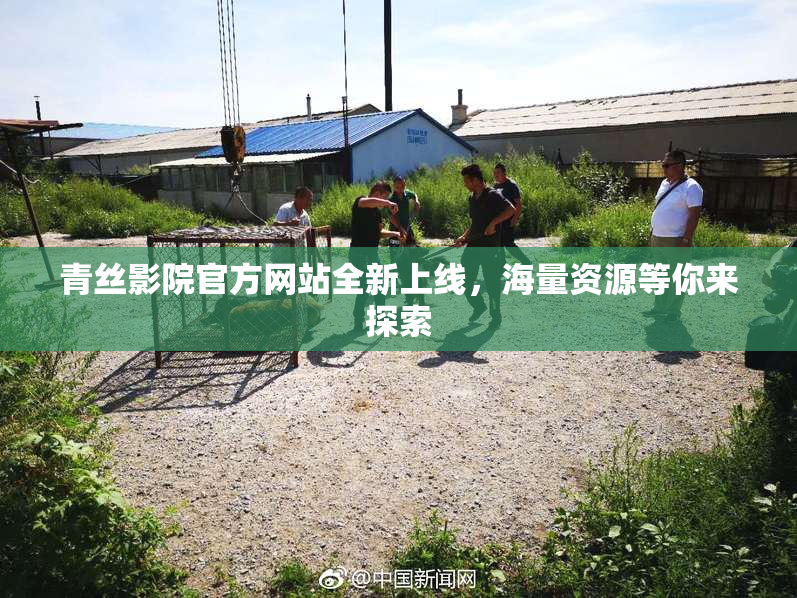 青丝影院官方网站全新上线，海量资源等你来探索