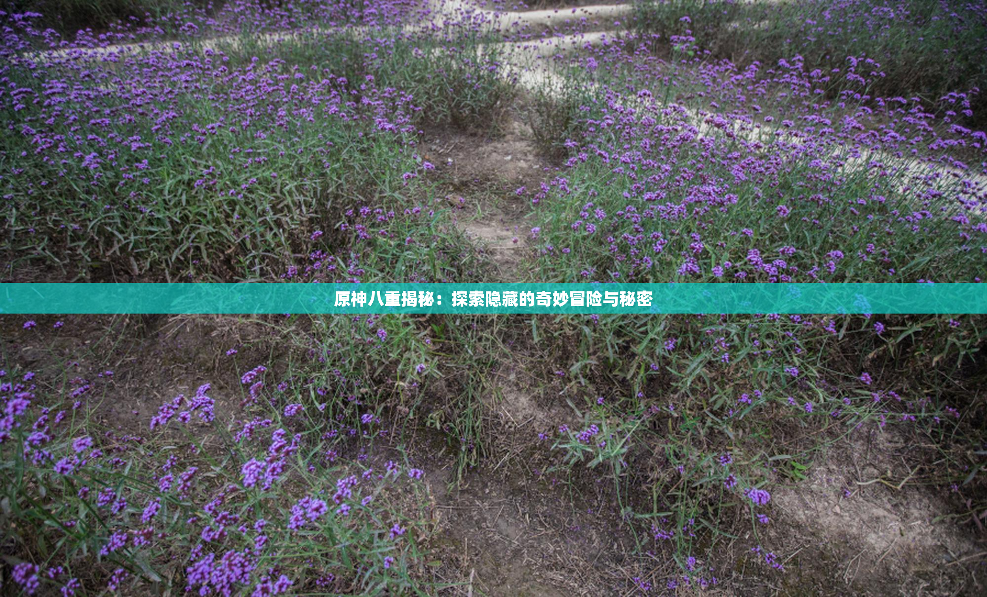 原神八重揭秘：探索隐藏的奇妙冒险与秘密