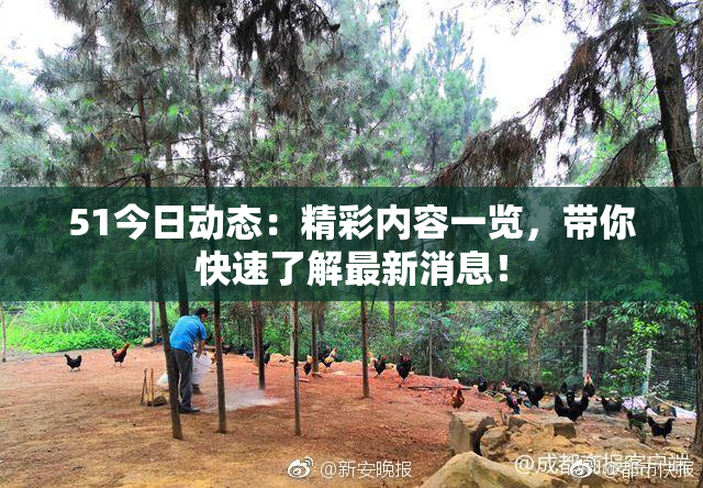 51今日动态：精彩内容一览，带你快速了解最新消息！