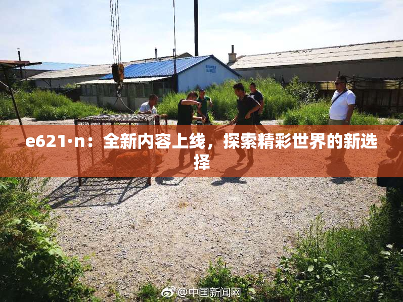 e621·n：全新内容上线，探索精彩世界的新选择