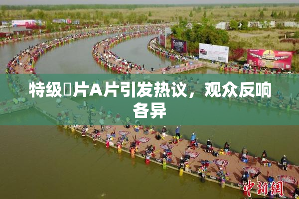 特级婬片A片引发热议，观众反响各异