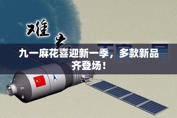 九一麻花喜迎新一季，多款新品齐登场！