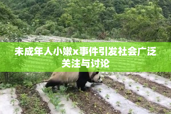 未成年人小嫩x事件引发社会广泛关注与讨论
