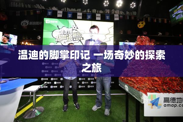 温迪的脚掌印记 一场奇妙的探索之旅