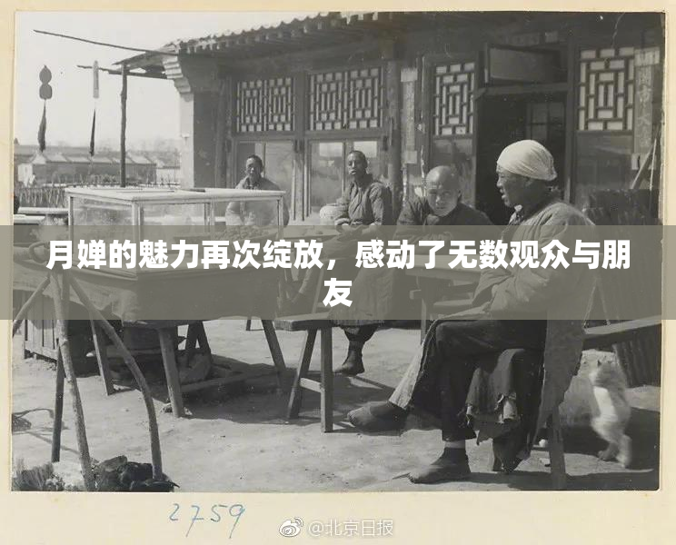 月婵的魅力再次绽放，感动了无数观众与朋友