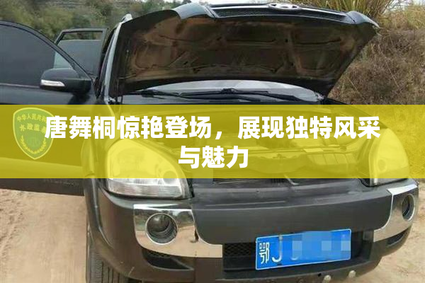 唐舞桐惊艳登场，展现独特风采与魅力