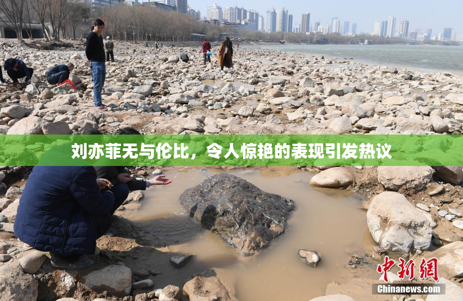 刘亦菲无与伦比，令人惊艳的表现引发热议