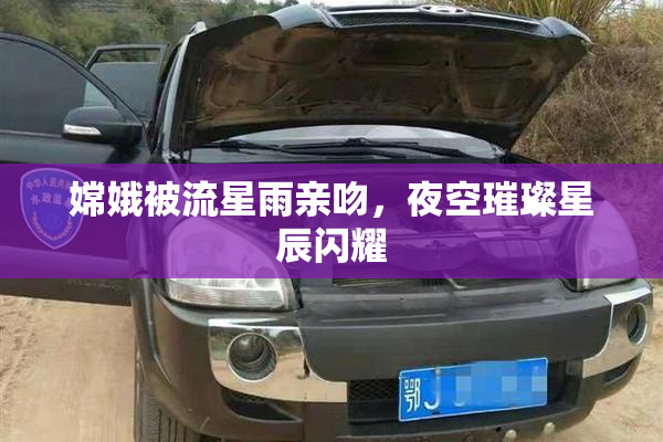嫦娥被流星雨亲吻，夜空璀璨星辰闪耀