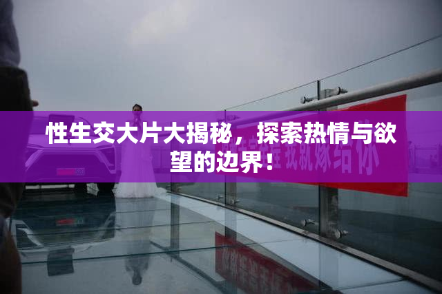 性生交大片大揭秘，探索热情与欲望的边界！