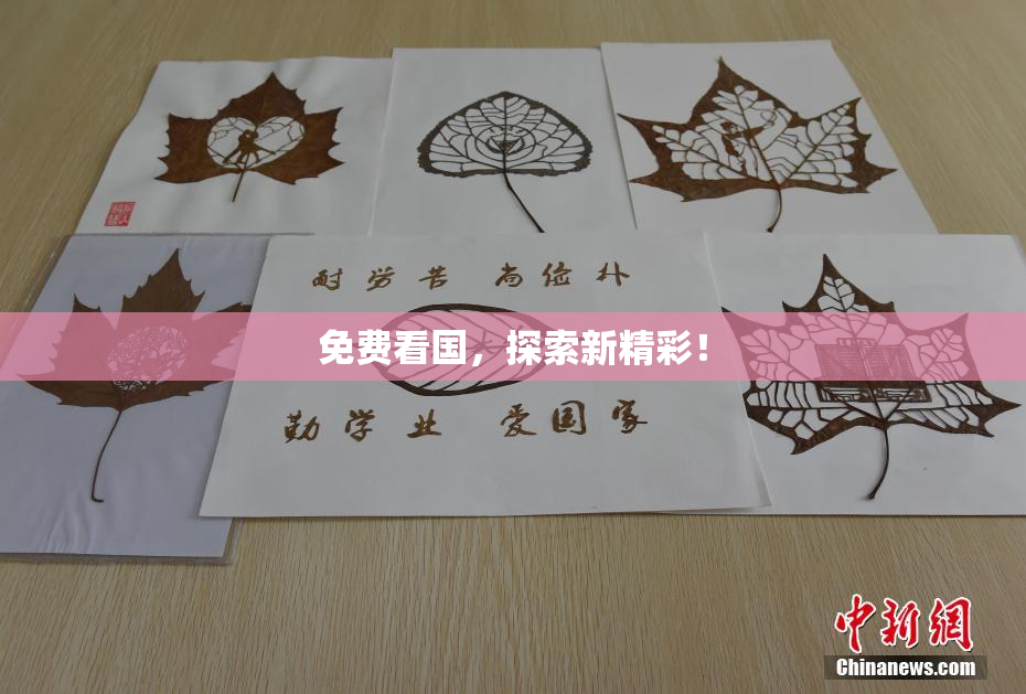 免费看国，探索新精彩！