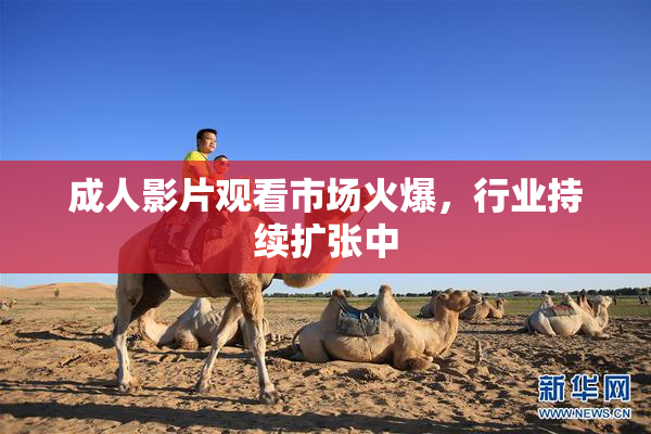 成人影片观看市场火爆，行业持续扩张中