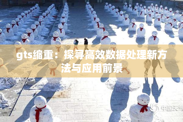 gts缩重：探寻高效数据处理新方法与应用前景