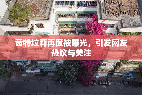 茜特垃莉再度被曝光，引发网友热议与关注