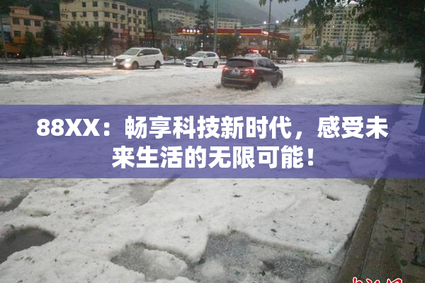 88XX：畅享科技新时代，感受未来生活的无限可能！