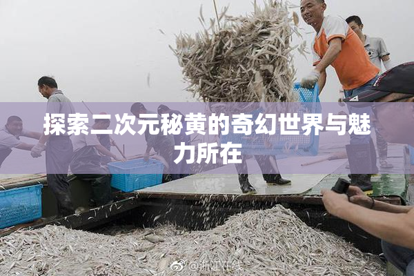 探索二次元秘黄的奇幻世界与魅力所在