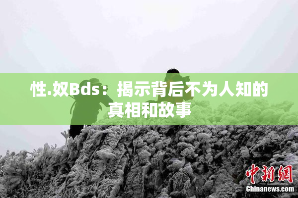 性.奴Bds：揭示背后不为人知的真相和故事