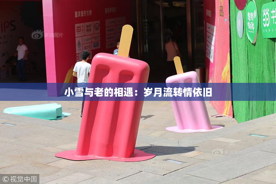 小雪与老的相遇：岁月流转情依旧