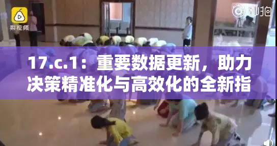 17.c.1：重要数据更新，助力决策精准化与高效化的全新指导方案出台