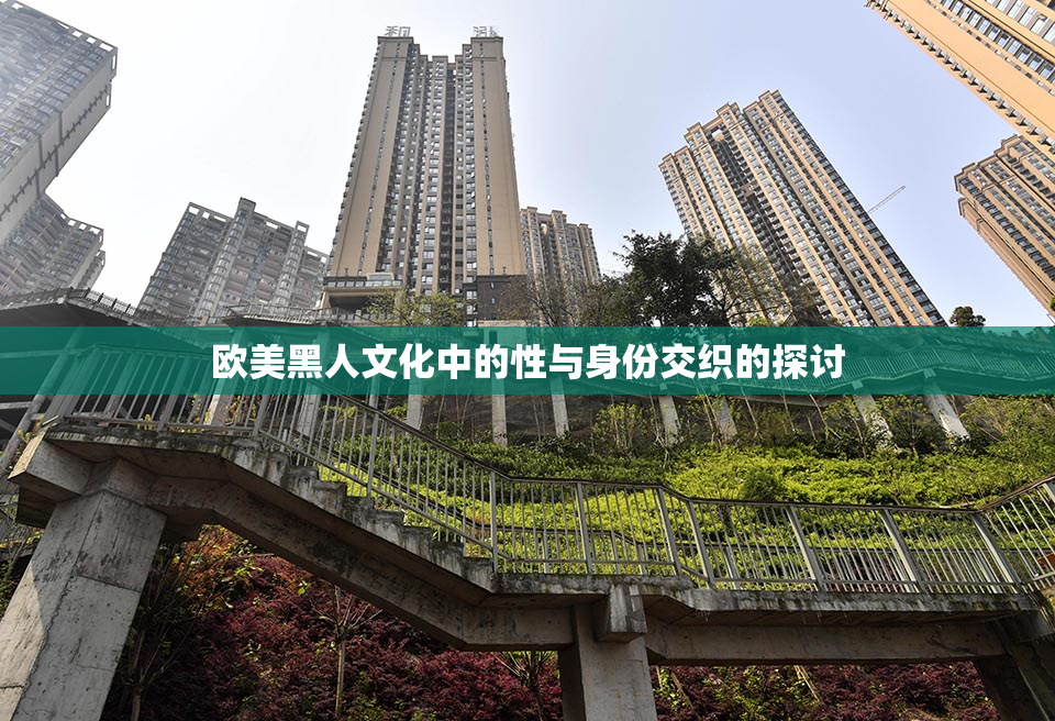 欧美黑人文化中的性与身份交织的探讨