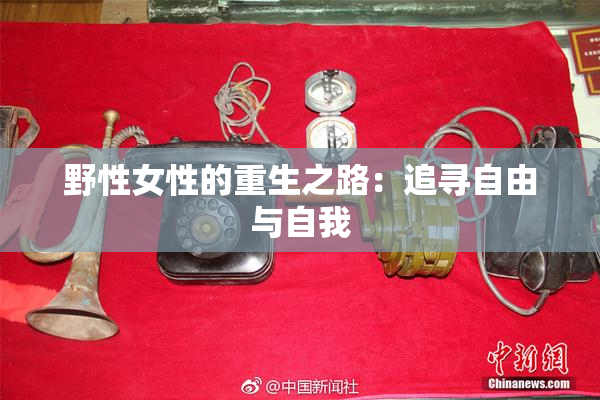 野性女性的重生之路：追寻自由与自我