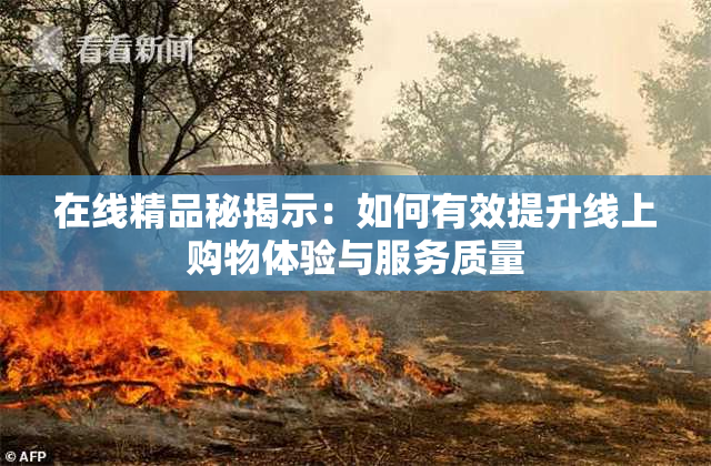 在线精品秘揭示：如何有效提升线上购物体验与服务质量