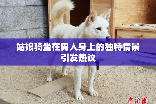 姑娘骑坐在男人身上的独特情景引发热议