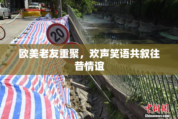 欧美老友重聚，欢声笑语共叙往昔情谊