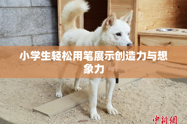 小学生轻松用笔展示创造力与想象力