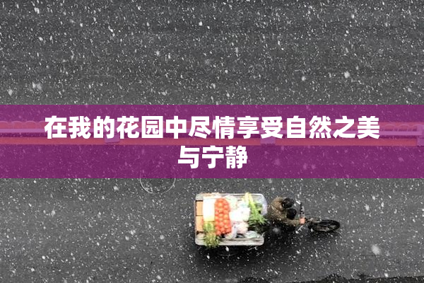 在我的花园中尽情享受自然之美与宁静
