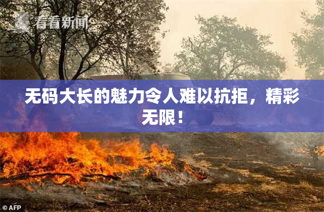 无码大长的魅力令人难以抗拒，精彩无限！