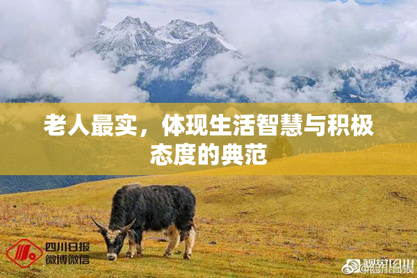 老人最实，体现生活智慧与积极态度的典范