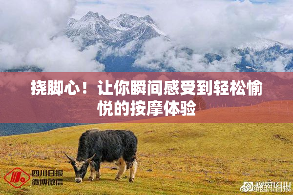 挠脚心！让你瞬间感受到轻松愉悦的按摩体验