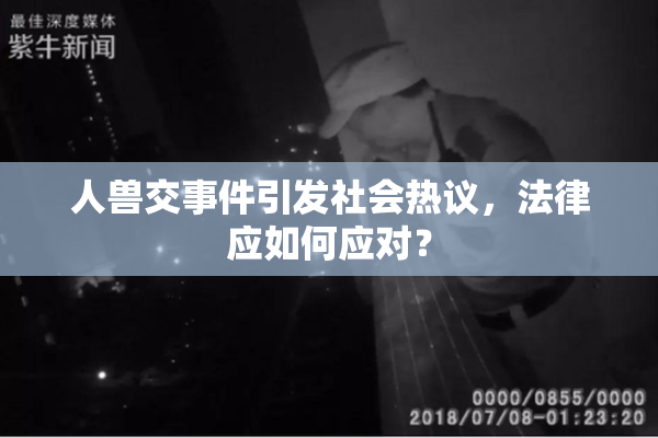 人兽交事件引发社会热议，法律应如何应对？