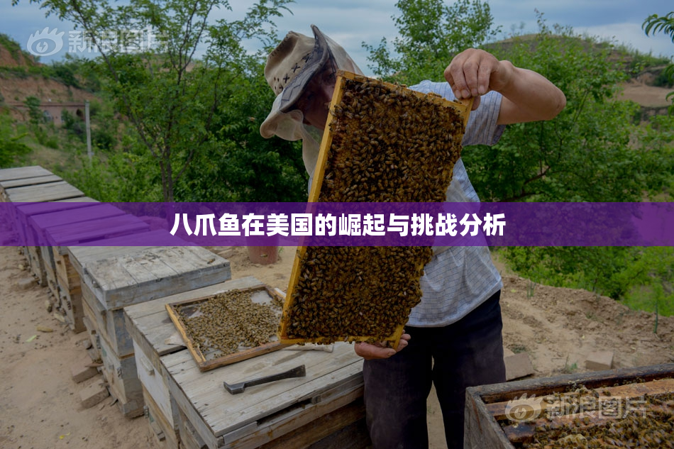 八爪鱼在美国的崛起与挑战分析