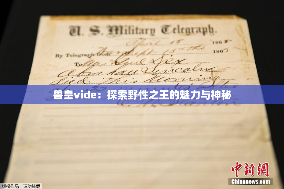 兽皇vide：探索野性之王的魅力与神秘