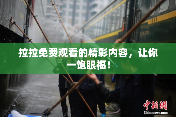 拉拉免费观看的精彩内容，让你一饱眼福！