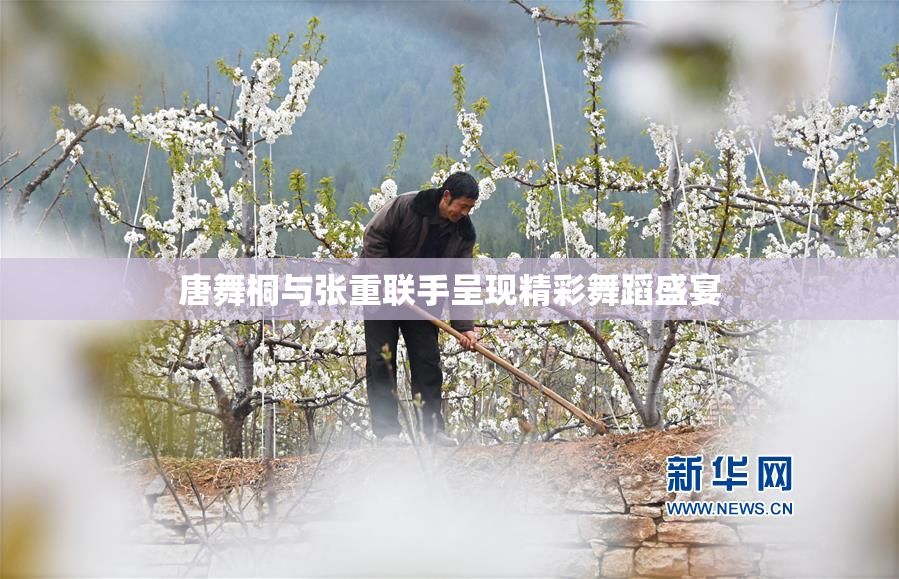 唐舞桐与张重联手呈现精彩舞蹈盛宴