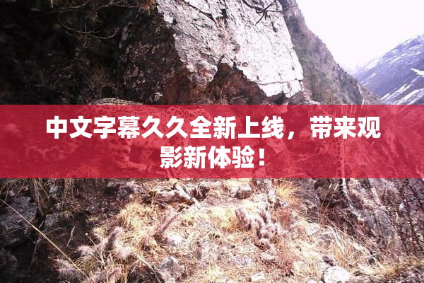 中文字幕久久全新上线，带来观影新体验！