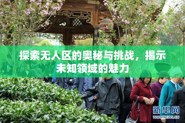 探索无人区的奥秘与挑战，揭示未知领域的魅力