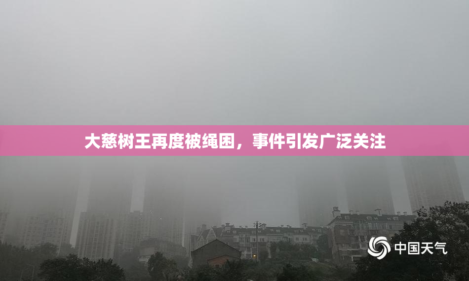 大慈树王再度被绳困，事件引发广泛关注