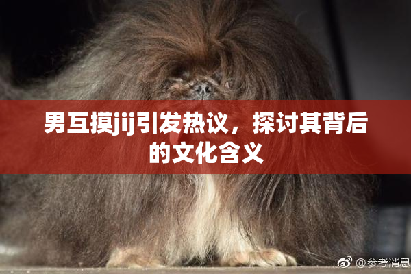 男互摸jij引发热议，探讨其背后的文化含义