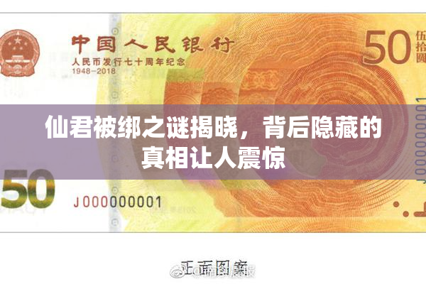 仙君被绑之谜揭晓，背后隐藏的真相让人震惊